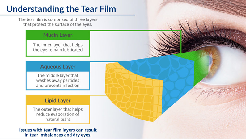 Understanding the tear film layers involved in dry eye disease – I-MED Pharma