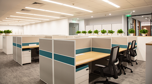 Office Environment: Dry air, dust, flourescent lights and Dry Eye