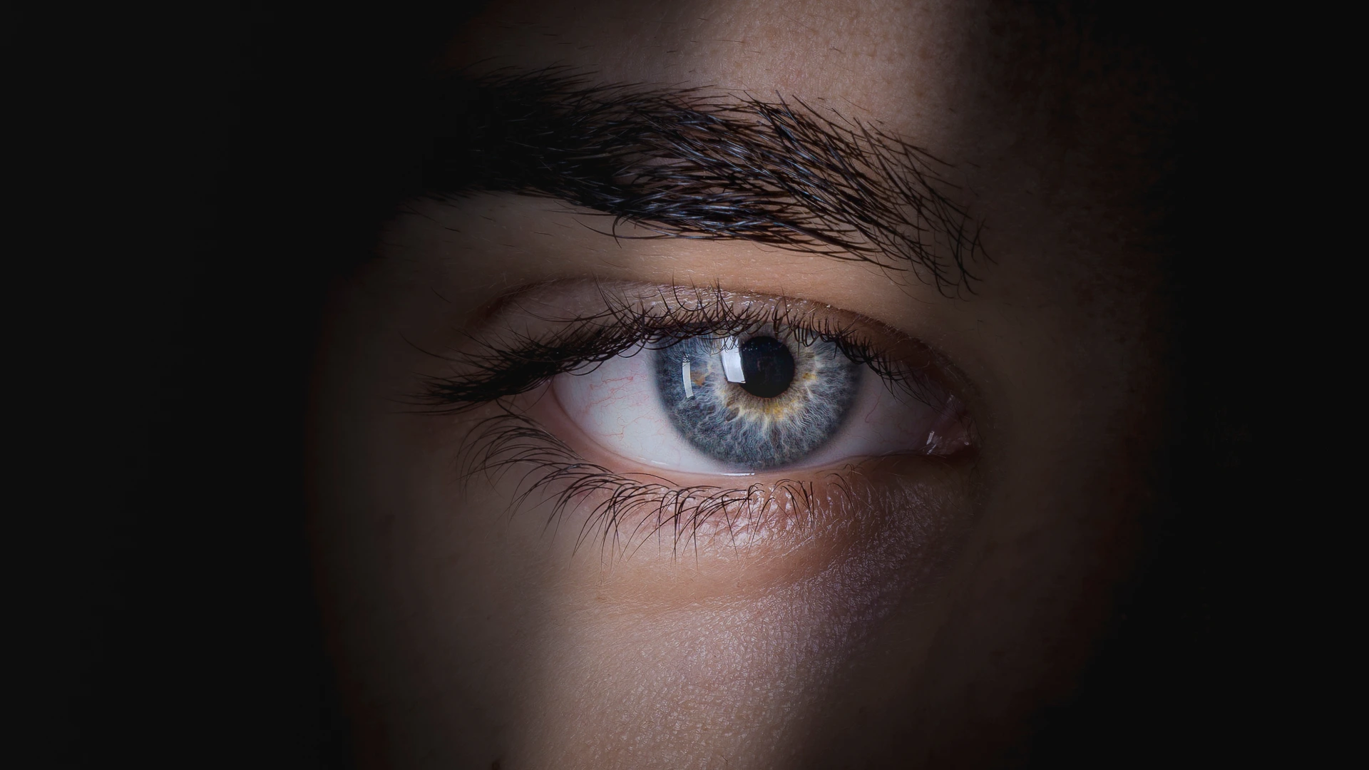 hiding-in-plain-sight-dry-eye-disease-cover-image